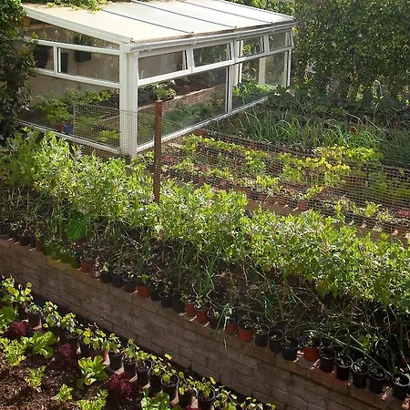 Adare Guesthouse-3